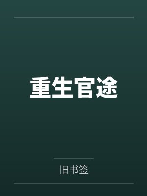天下无我这般小二封面